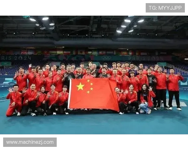 成都乒乓球队逆袭之路的真实记录与奋斗精神的展现