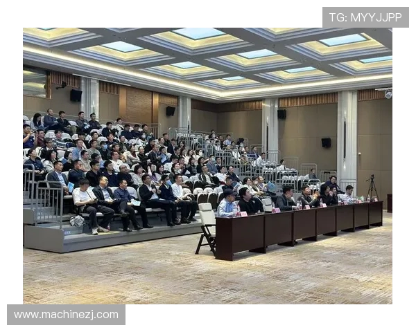 杭州飞盘队运营分析：成功经验与面临挑战的全面探讨