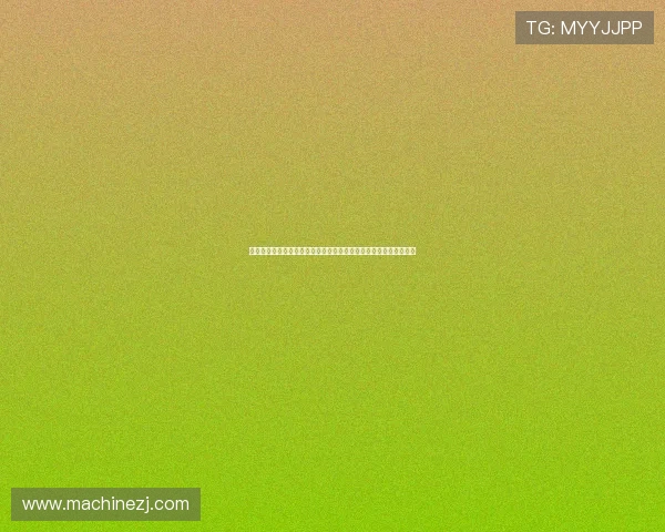 聚焦篮球明星从无名到巨星的励志成长与赛场蜕变全景深度纪实篇章