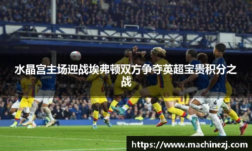 水晶宫主场迎战埃弗顿双方争夺英超宝贵积分之战